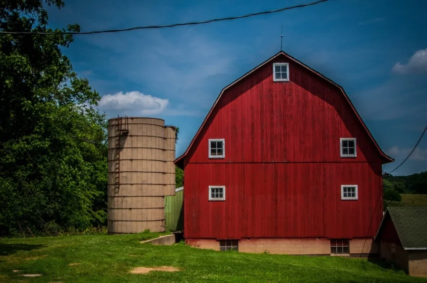 Marvin Forssander-Baird: Farm